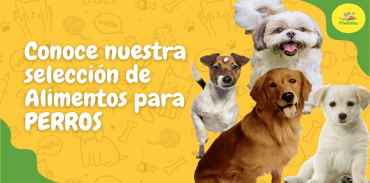 Imagen de Alimentos P/Perros