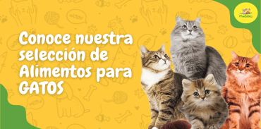 Imagen de Alimentos P/Gatos