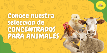 Imagen de Conc. Animales Grandes