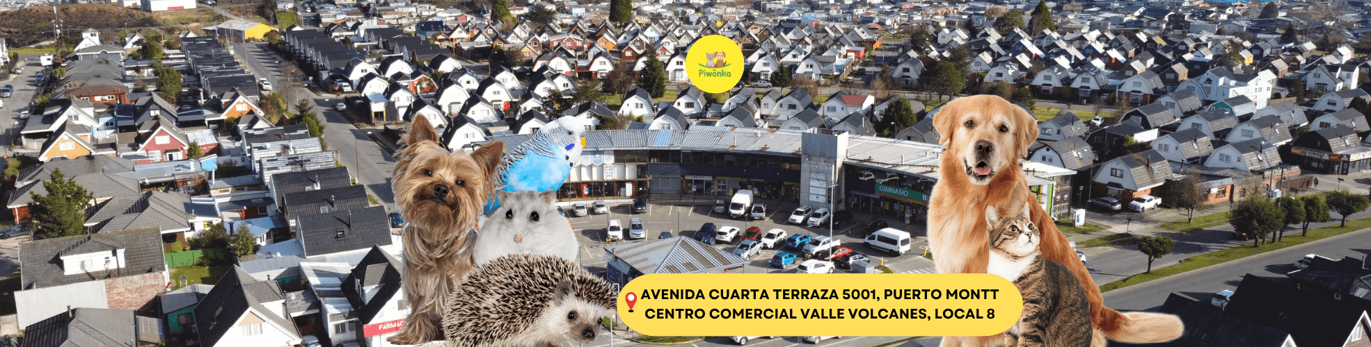 Imagen promocional